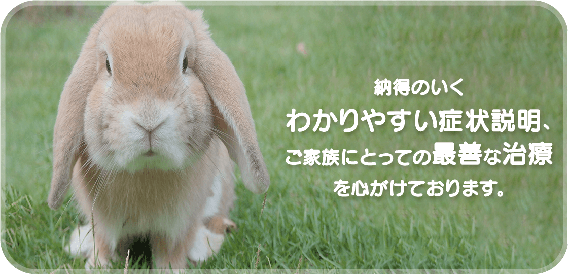 納得のいくわかりやすい症状説明、安全な治療を心がけております。