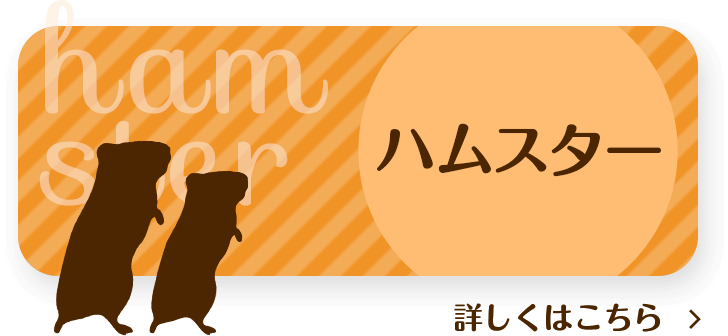 ハムスター