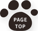 PAGE TOP